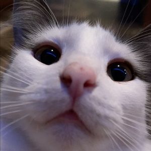 Meet your Posher, Maria